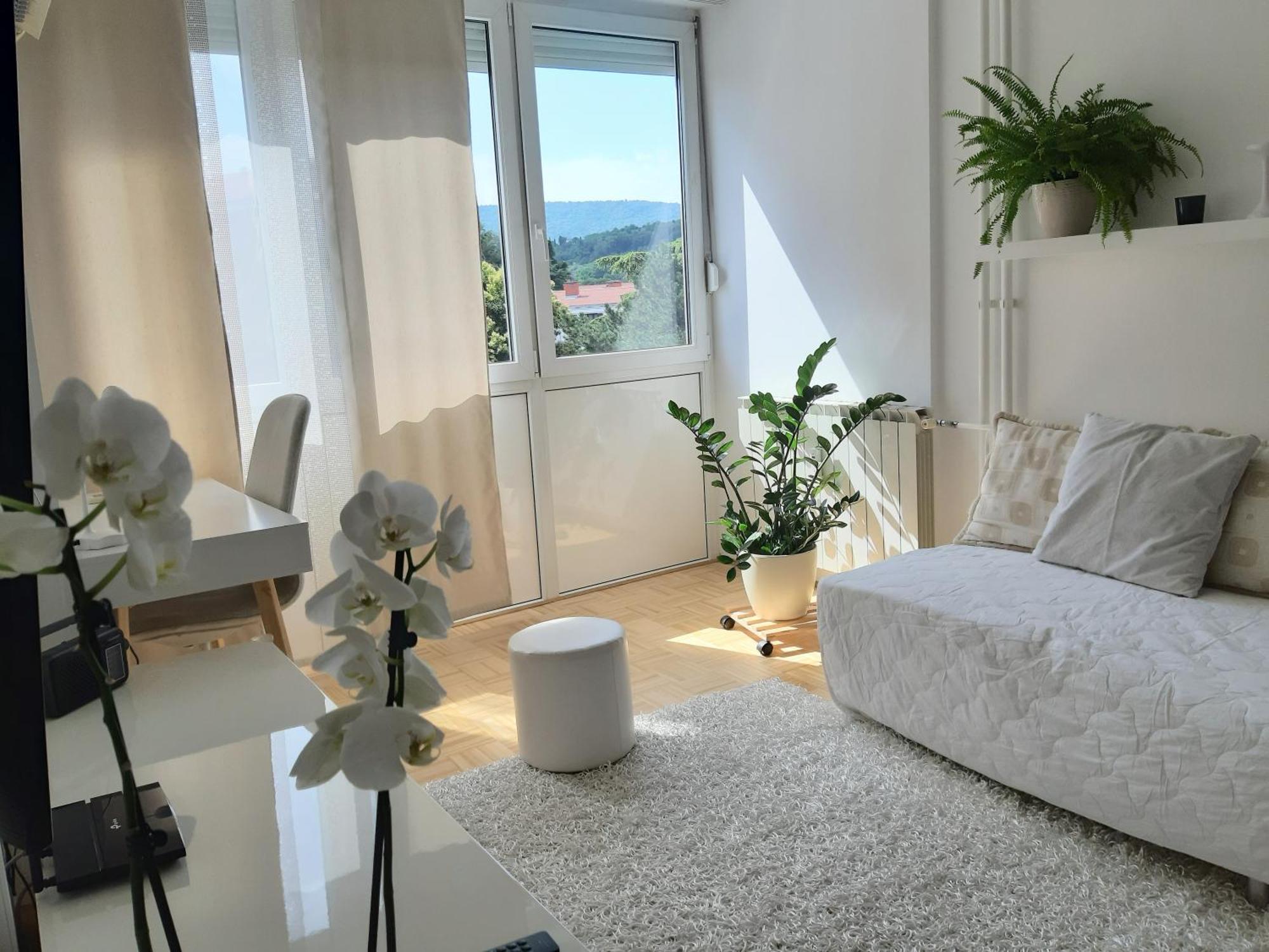 Apartma Eva Копер Екстер'єр фото
